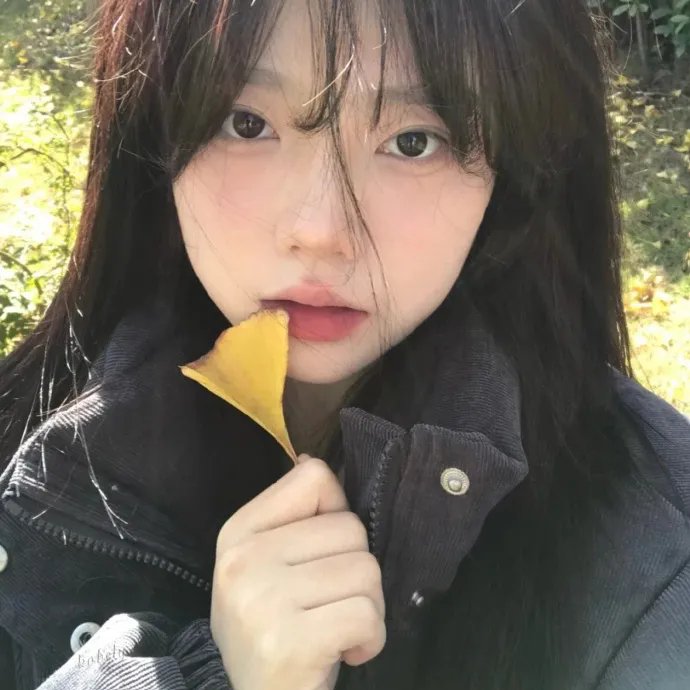 再见已是白月光