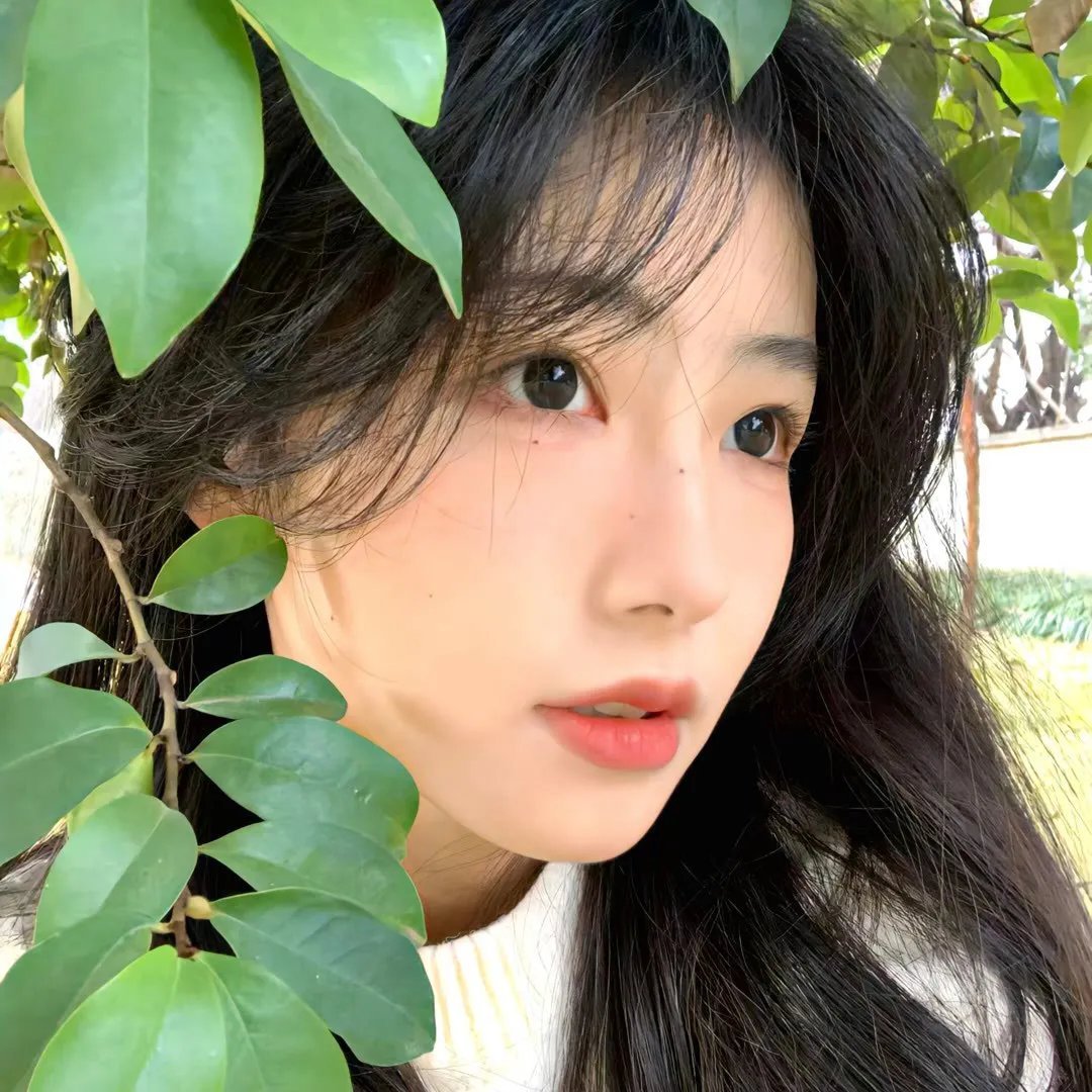 网络正义魔人