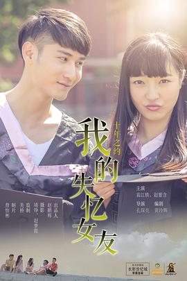 晨海的海鸥 封面图